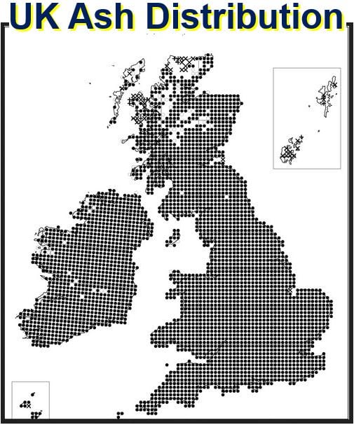 UK ash distribution