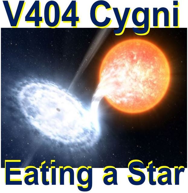 V404 Cygni devouring a companion star