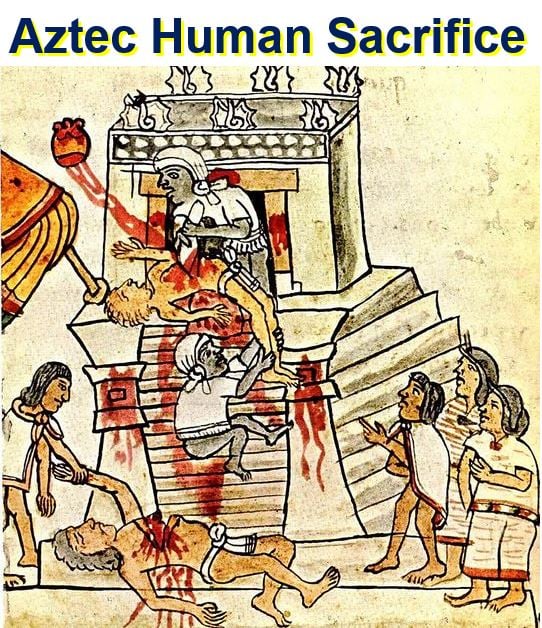 Aztec Human Sacrifice