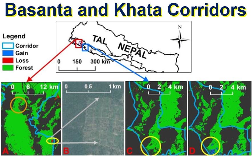 Basanta and Khata Corridors for wild tigers