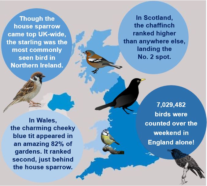 Bird Populations UK