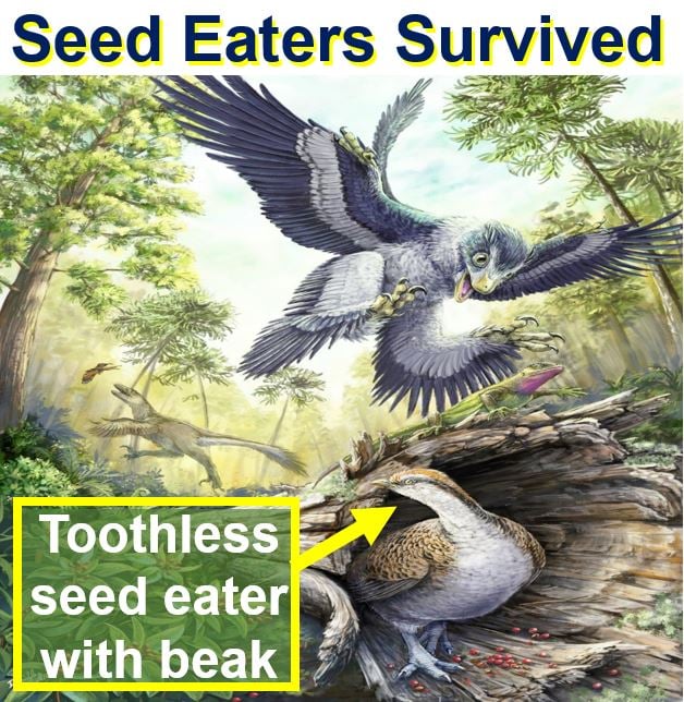 Birds survived if they ate seeds