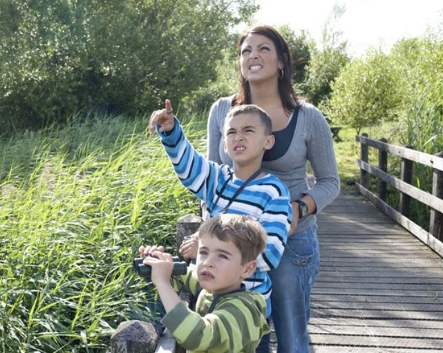 Family birdwatching