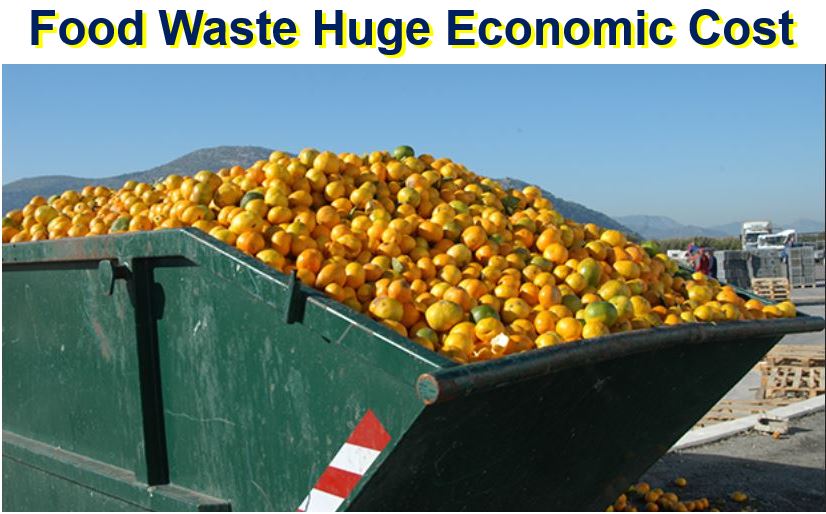 Food waste economic cost