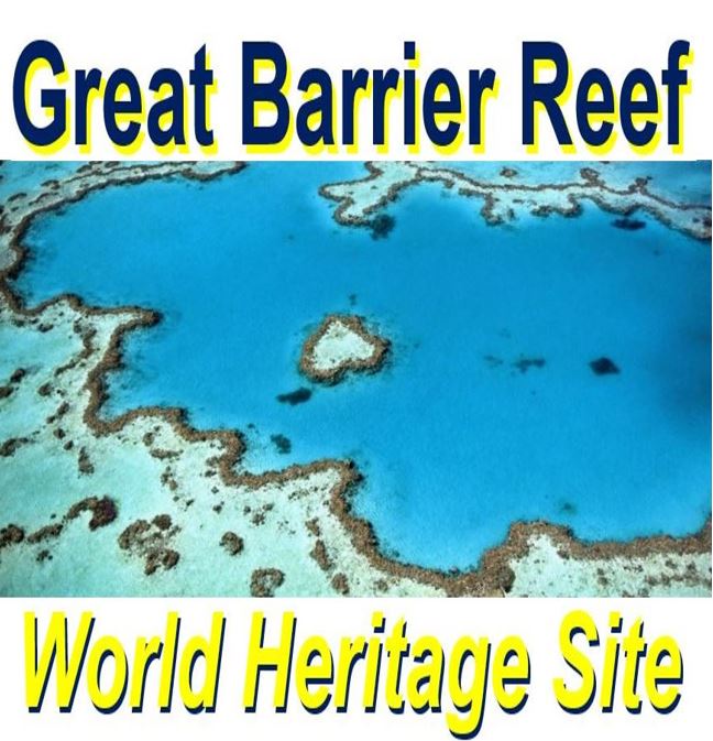 Great Barrier Reef coral reef bleaching