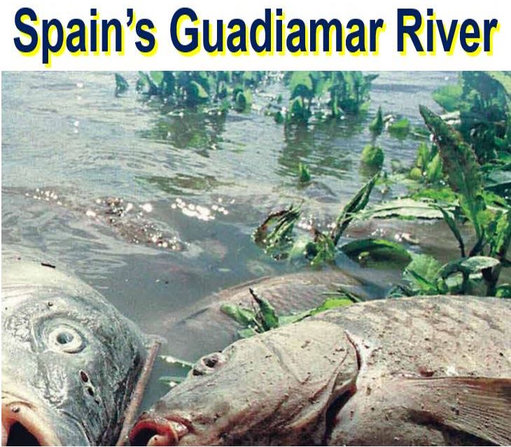 Guadiamar River in Spain