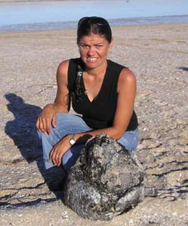 Huge ambergris find