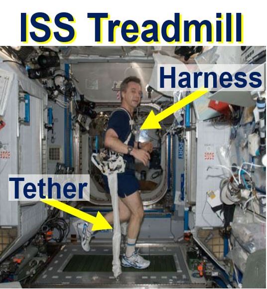 ISS Treadmill