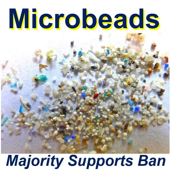Microbeads majority supports a ban