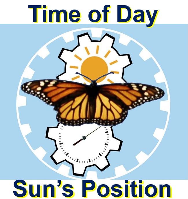 Monarch butterfly integrates time of day with Sun position