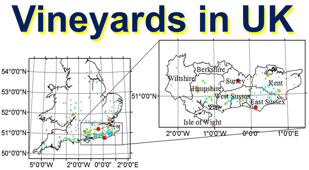 Spatial Distribution of Vineyards in UK