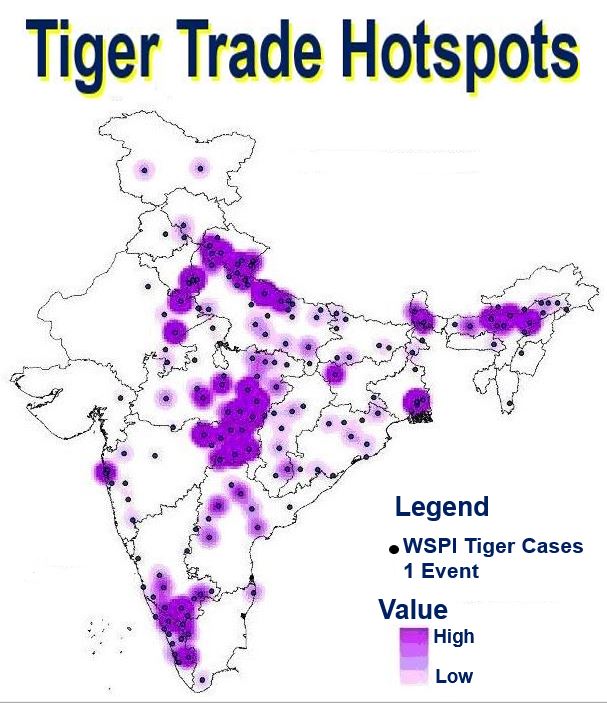 Tiger Trade Hotspots in India