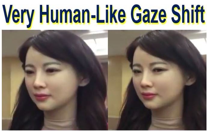 Very human like gaze shift