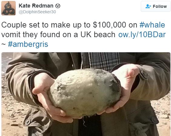 Whale vomit found on beach highly sought after by perfume industry