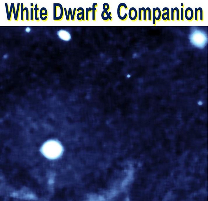 White dwarf and companion star