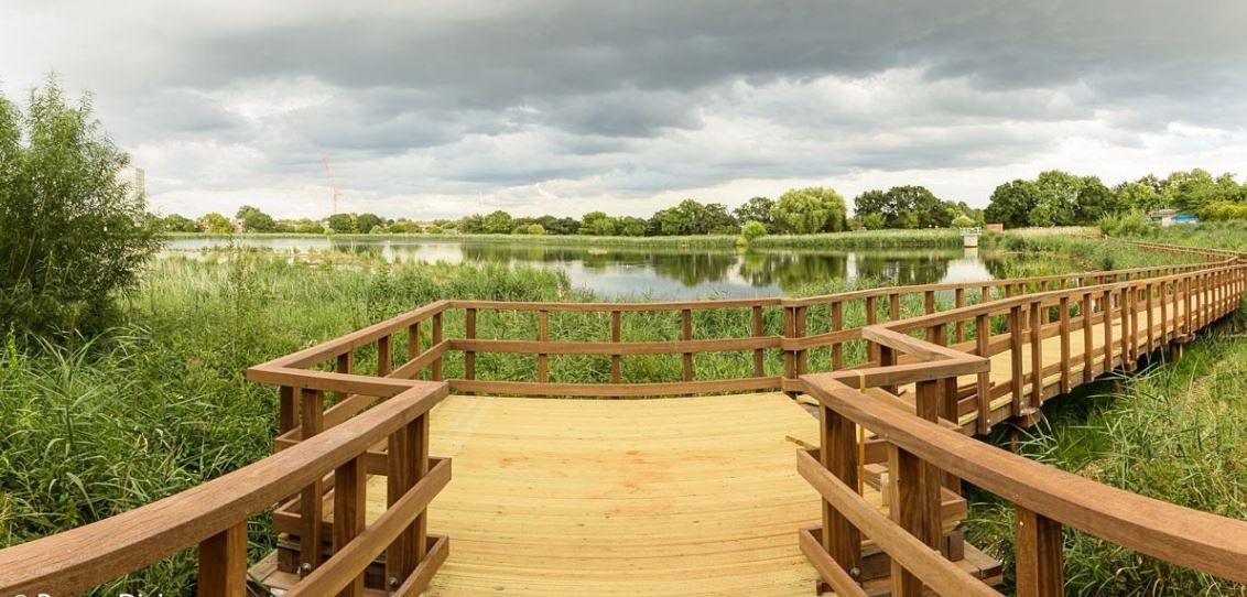A haven for wildlife in London