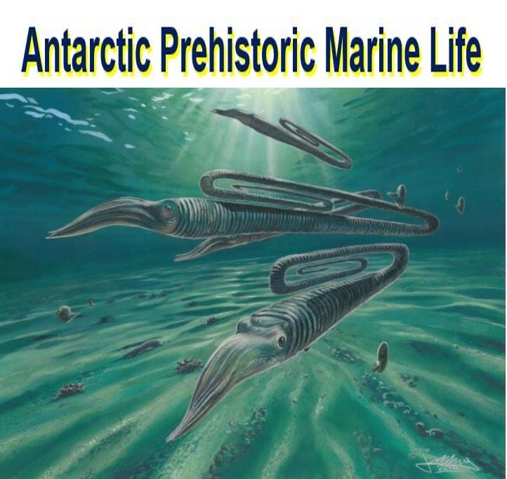 Antarctic prehistoric marine life