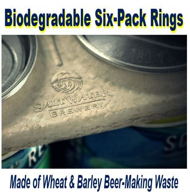 Biodegradable beer pack rings made of wheat barley