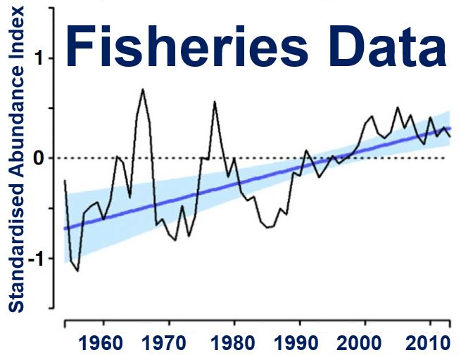 Cephalopods fisheries data