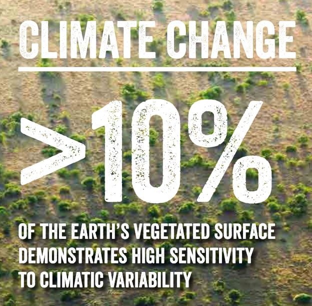 Climate change affecting plant species