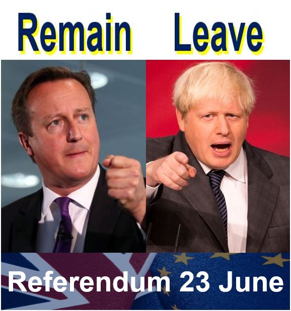 EU referendum remain and leave leaders