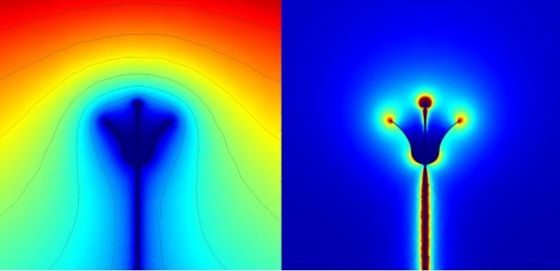 Flowers emit electric field to attract pollinators