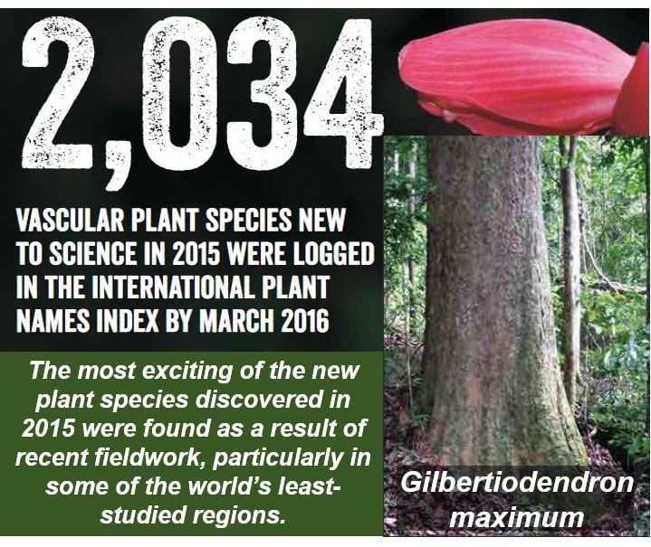 New species of plants discovered in 2015