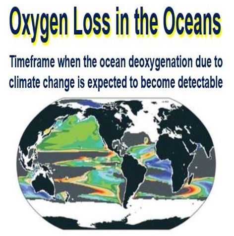 Oxygen loss in the oceans detectable by 2030