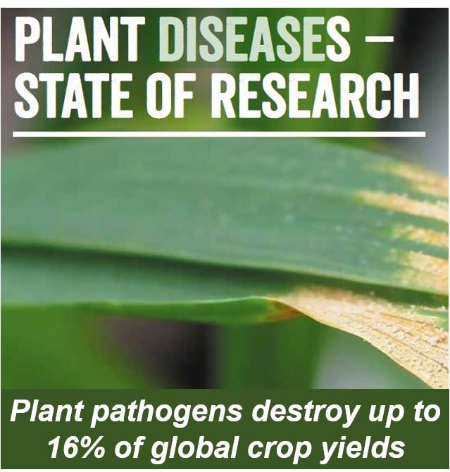 Plant diseases state of species
