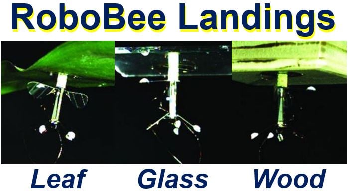 RoboBee landing on different surfaces