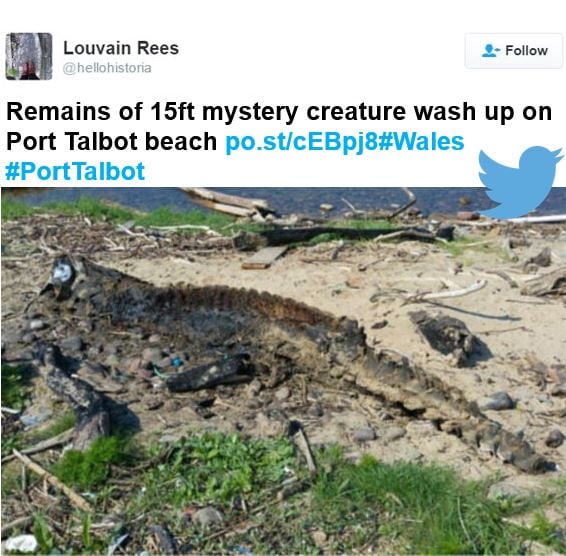 Scary beach monster found at Port Talbot