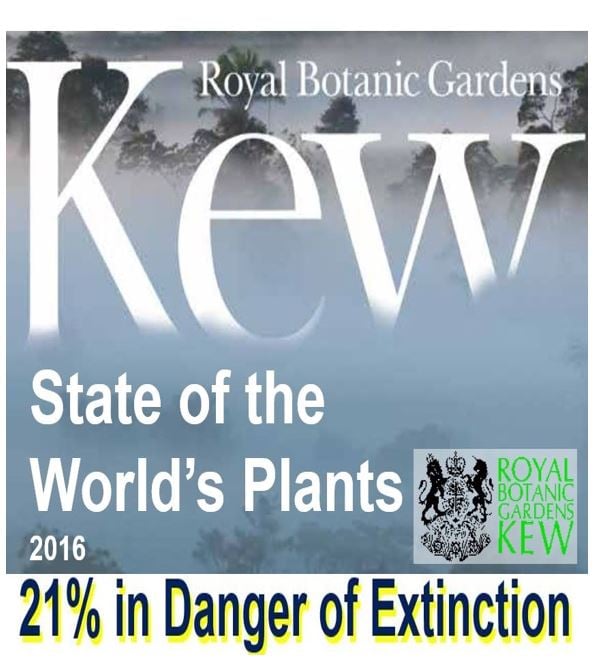 State of the plant species in the world