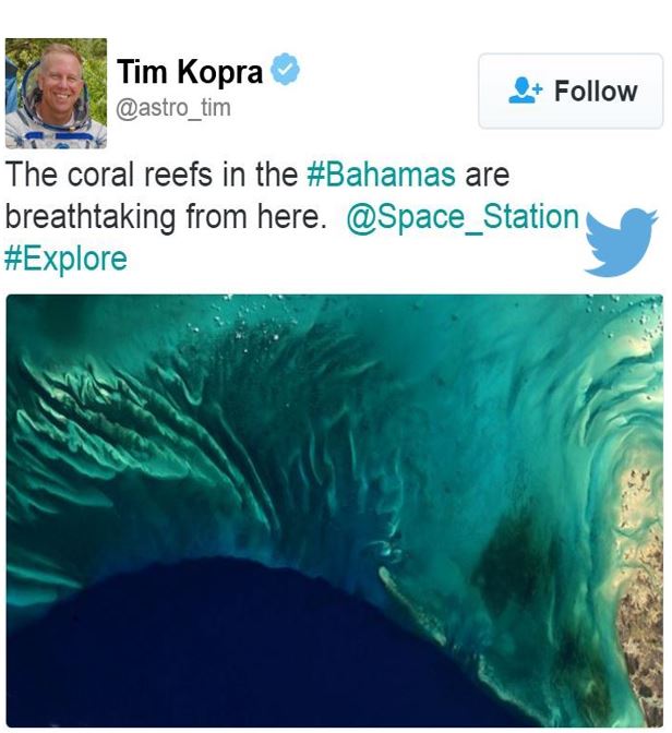 Tim Kopra image of Coral Reef The Bahamas