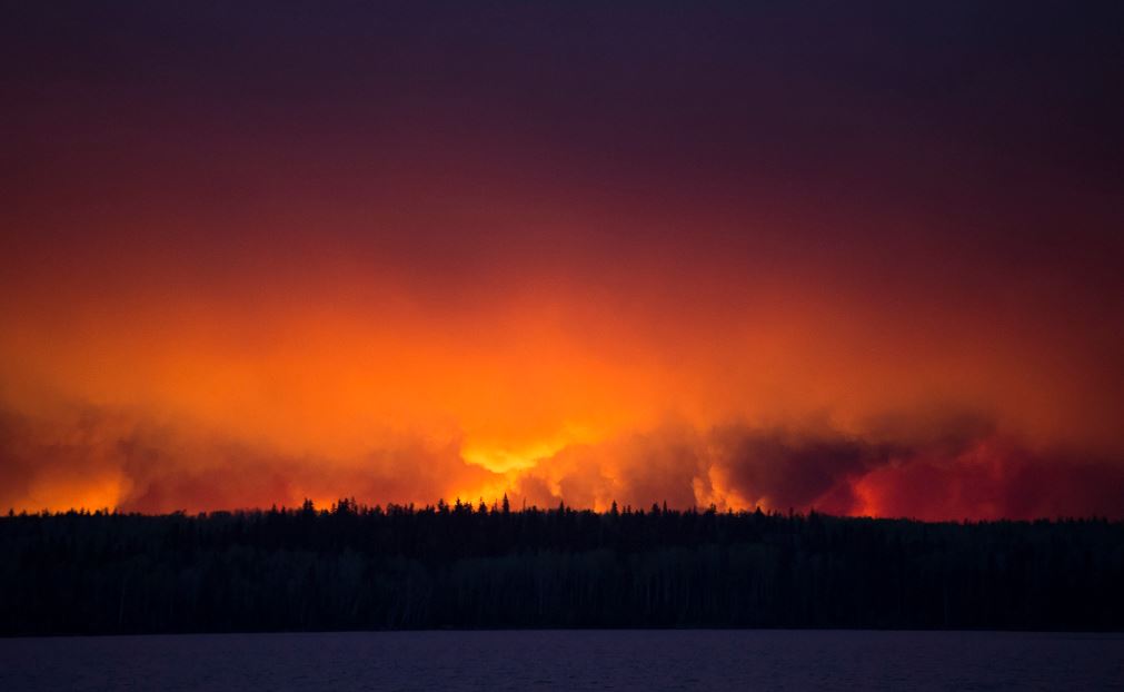 Wildfire Canada