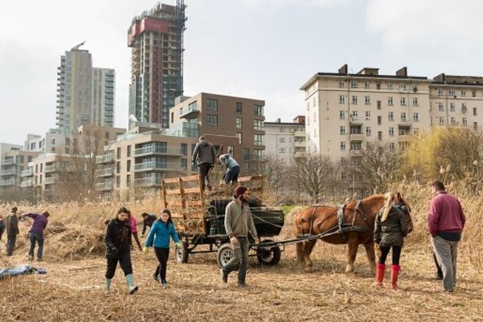 Woodberry Wetlands volunteers