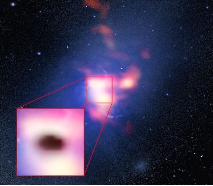 Abell 2597 Cluster Galaxy