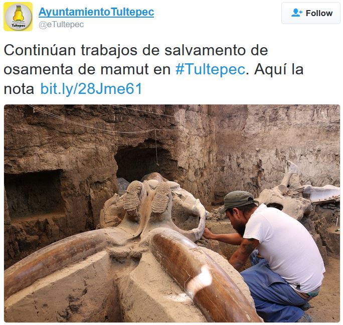 Ayuntamiento Tultepec reports on mammoth recovery progress