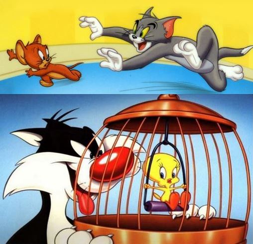 Cat and mouse and bird cartoons