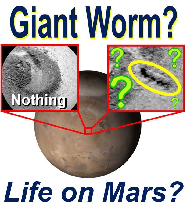 Giant worm on Mars alien life proof say enthusiasts