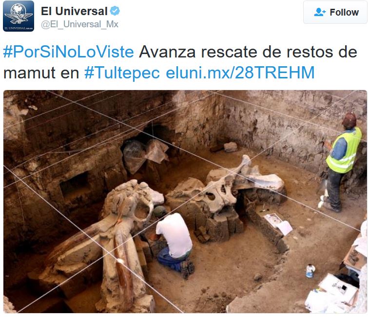Mammoth bones discovered near Tultepec Mexico