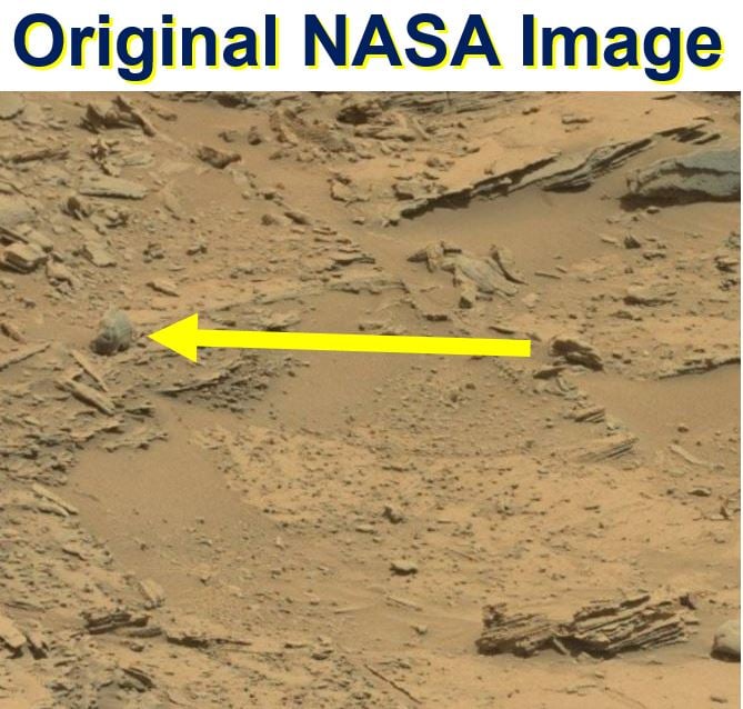 Original NASA image bigfoot skull