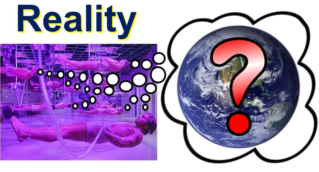Reality or a simulation which is which