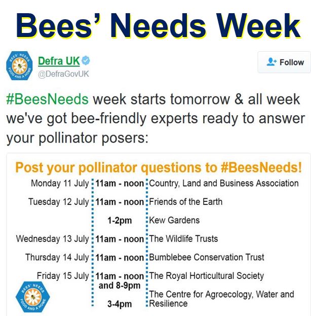 Bees Needs Week