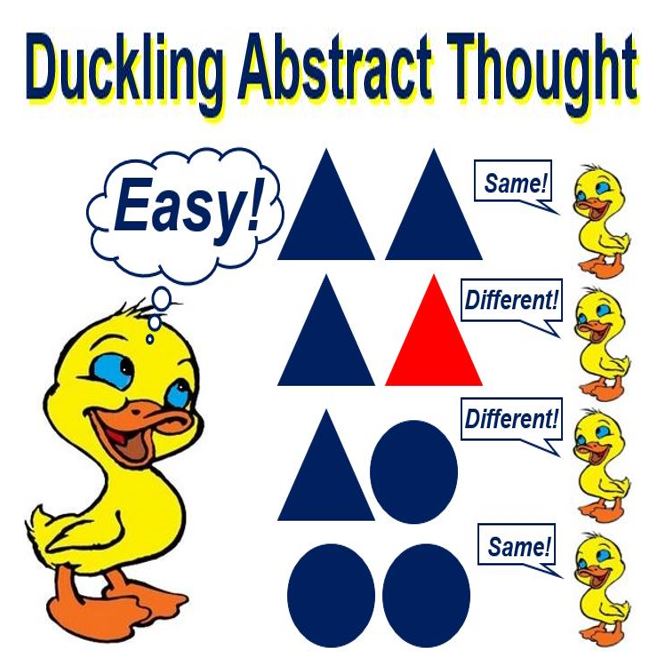 Duckling Abstract Thought capability