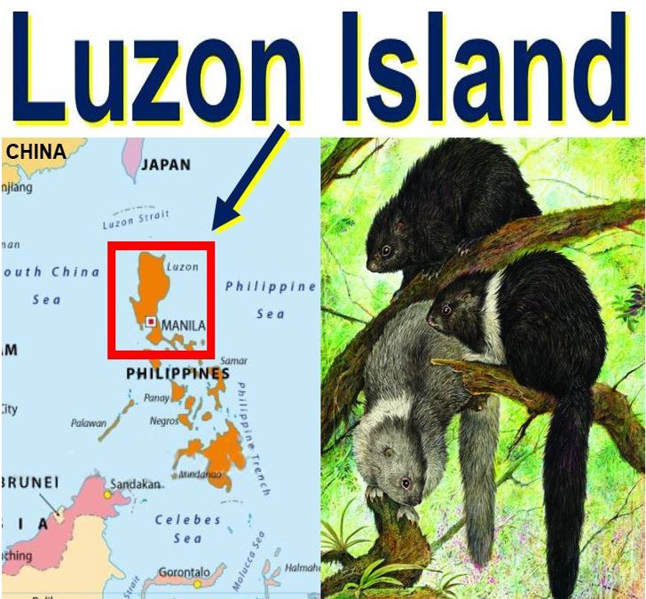 Luzon Island