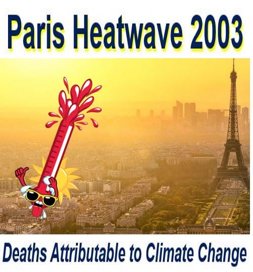 Paris heatwave deaths