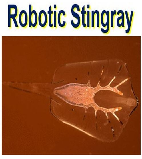 Robotic Stingray