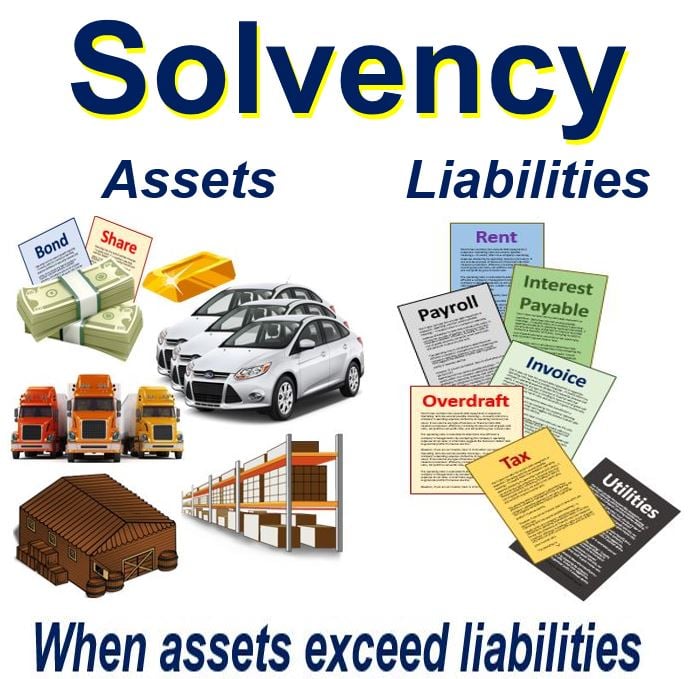 What is solvency? Definition and examples - Market Business News