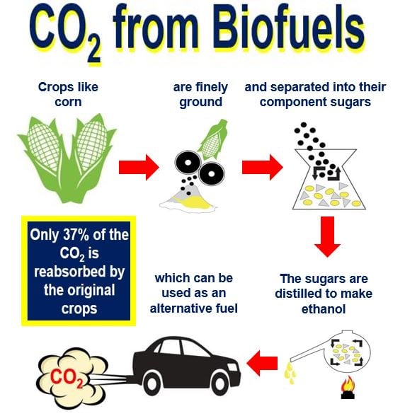 Carbon Dioxide from biofuels