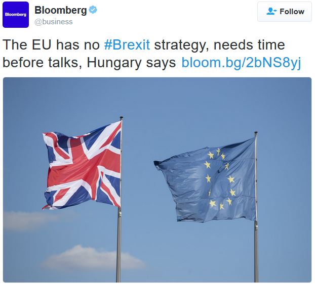 EU has no Brexit strategy